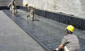 全方位防水补漏 守护建筑安全的关键工程